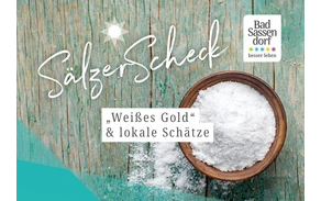 Teaserbild SälzerScheck