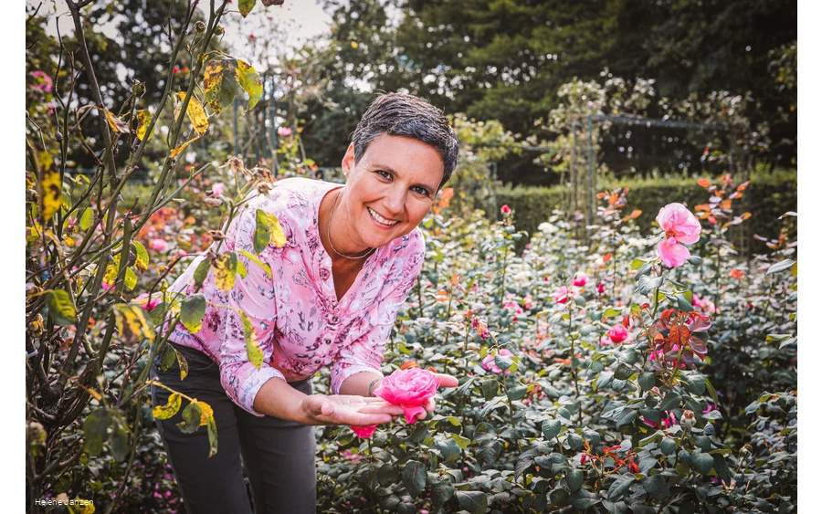 Rosengarten im Kurpark Bad Sassendorf