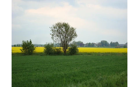 Opmünden in der Soester Börde