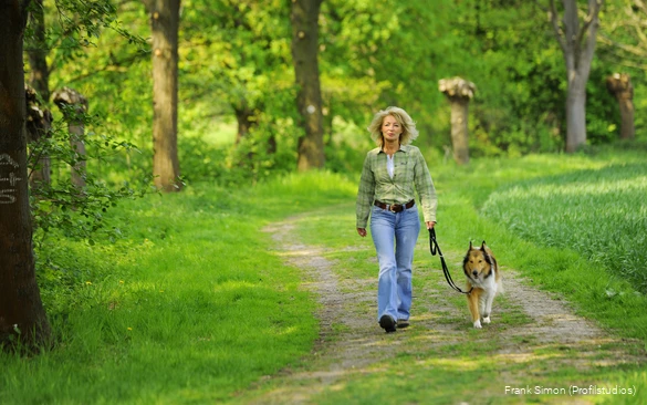 Ein besonderer Tipp ist der Wanderweg A5 nördlich von Bad Sassendorf durch das Naturschutzgebiet Rosenau.