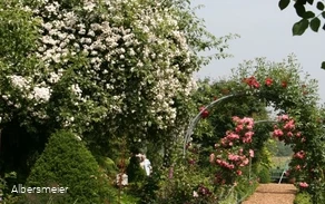 Feldgarten Schoneberg