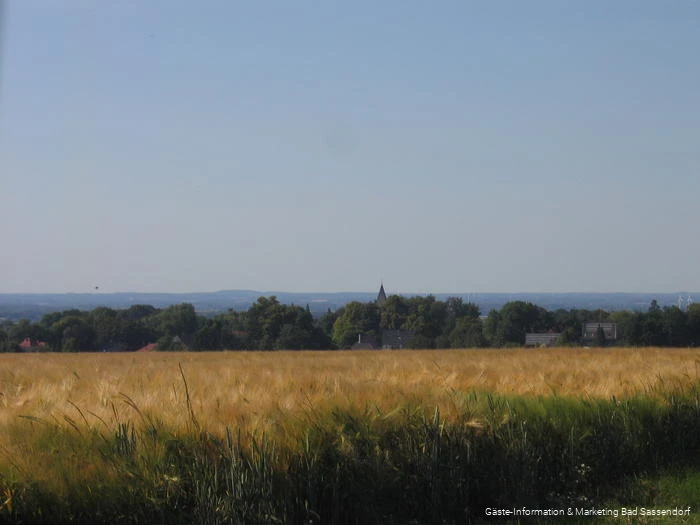Blick auf Neuengeseke