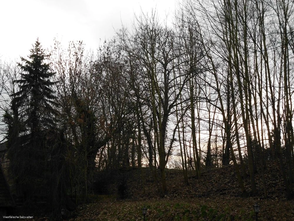 Ehemailiger Bahndamm Bad Sassendorf